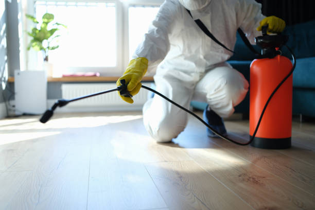 Reliable Hoarding Cleanup contractor in Inyokern, CA by Trauma Clean Pros